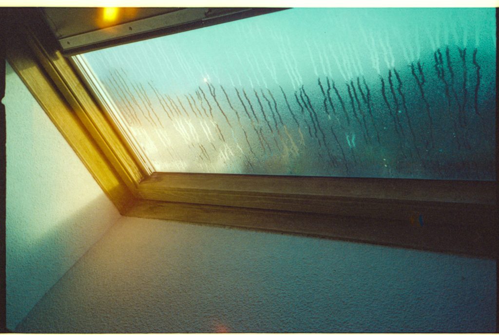 Damp on window